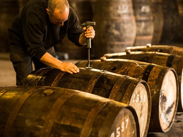 Distillery Tours Glenfiddich